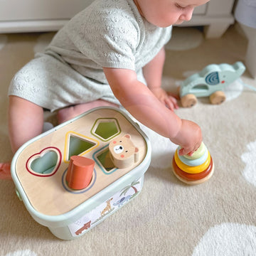 3in1 Toy Box - Sorting Blocks, Stackable Pyramid and Elephant On Wheels — 13