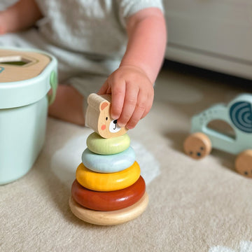 3in1 Toy Box - Sorting Blocks, Stackable Pyramid and Elephant On Wheels — 12