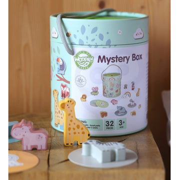 Mystery Box Touch and Match — 6